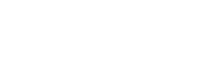 logo-fesomac